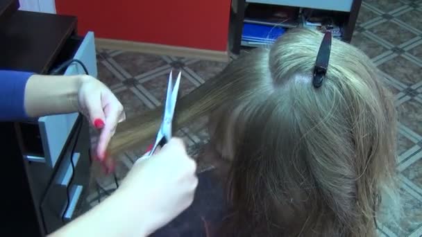 Hair stylist cut — Stock Video