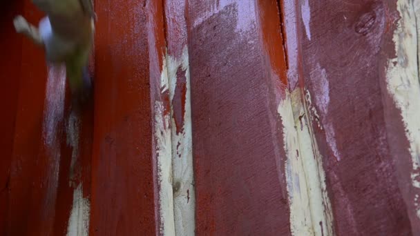 Peinture à la main mur en bois 