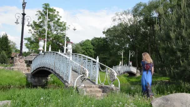 Pont peint en blanc — Video