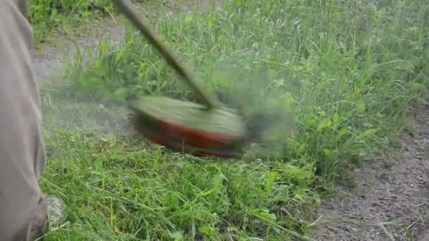 Мужчина срезал мокрую траву — стоковое видео