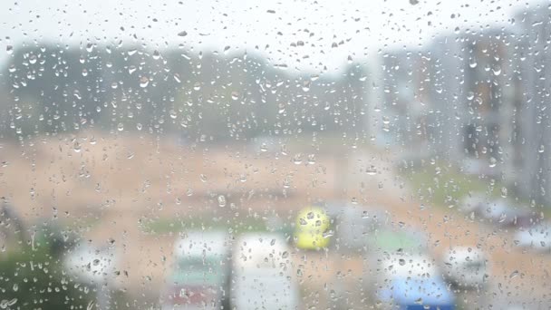 Water drops glass rain — Stock Video