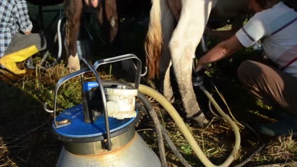 Доїльна машина накачує молоко — стокове відео