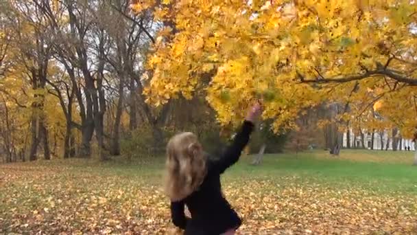 Mujer árbol hojas rama — Vídeos de Stock