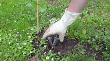 Bahçıvan köstebek kapanı