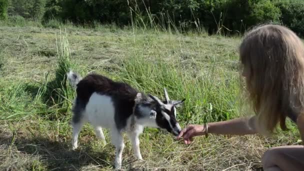Дівчина goatling морди — стокове відео