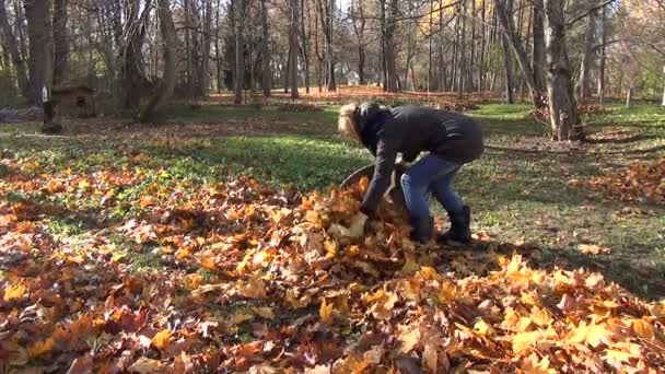 Mujer hojas bolsa jardín — Vídeos de Stock