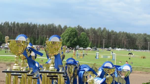 Paardenrennen cups awards — Stockvideo