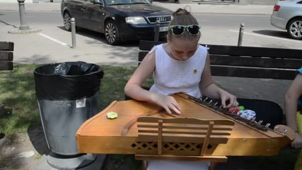 Hand play baltic psaltery — Stock Video