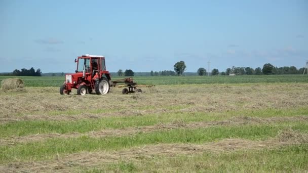 Campo de heno con tractor — Vídeos de Stock