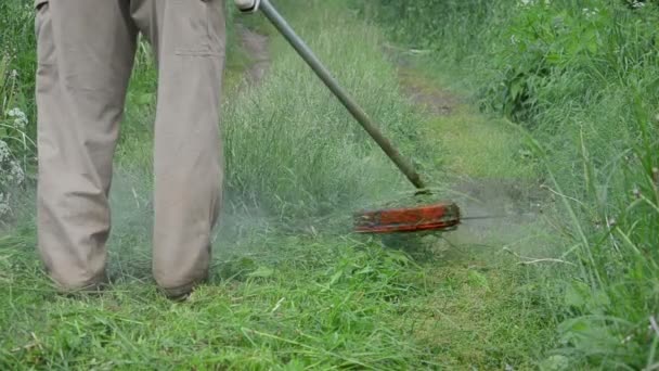 Gros travailleur tondre l'herbe — Video