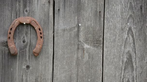 Zapato de caballo de mano — Vídeo de stock