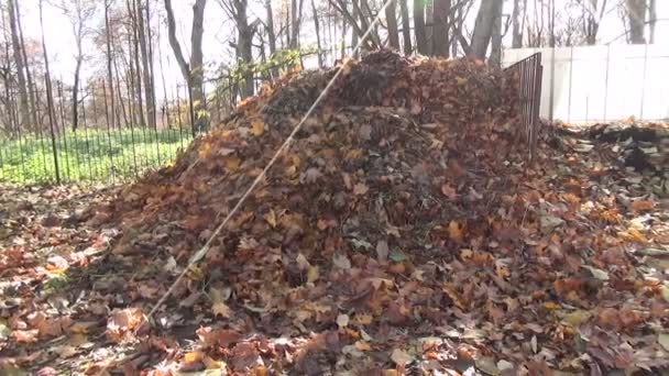 Hojas de compost montones — Vídeo de stock