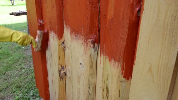 Ручна пензлик фарба стіна — стокове відео