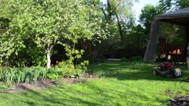 kadın çim bower kesmek