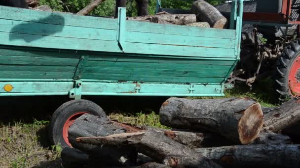 Man uit het geheugen verwijderen hout aanhangwagen — Stockvideo