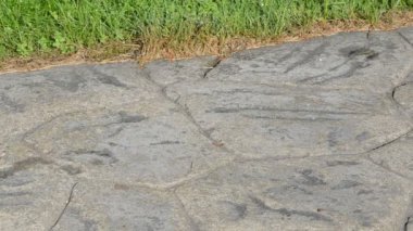 çıplak ayak ıslak yazdırma yolu