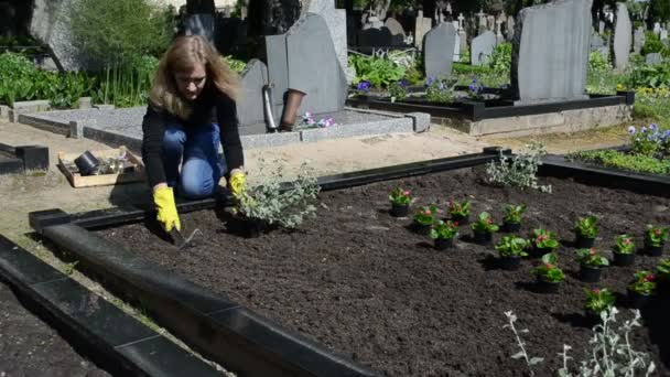 Frau pflanzt Friedhof — Stockvideo