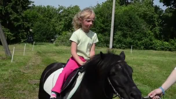Paard meisje pony rijden — Stockvideo