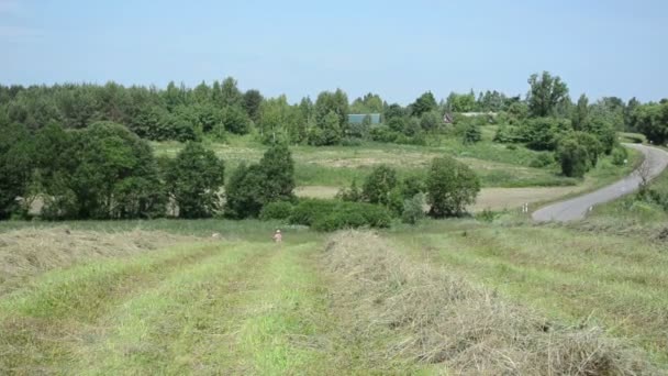 Fieno di rastrello contadino agricolo — Video Stock