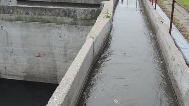 Kanalizasyon suyu temiz Havzası — Stok video