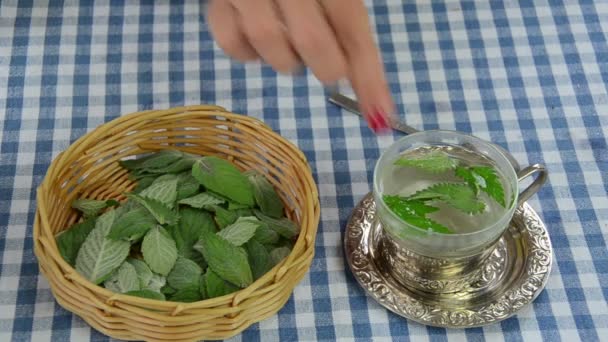 Boisson au thé à la menthe — Video