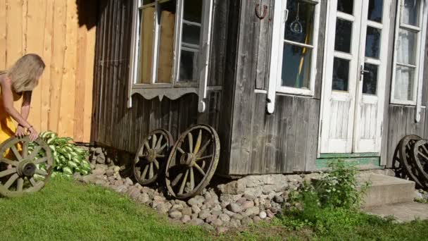 Rouleau de fille roue chariot — Video