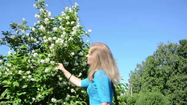 女性はジャスミンの花を選ぶ — ストック動画