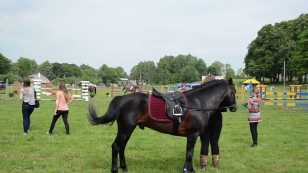 Cavaleiro cavalo garanhão menina — Vídeo de Stock
