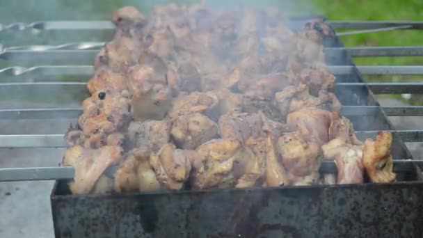 Juicy meat bakes closeup – stockvideo