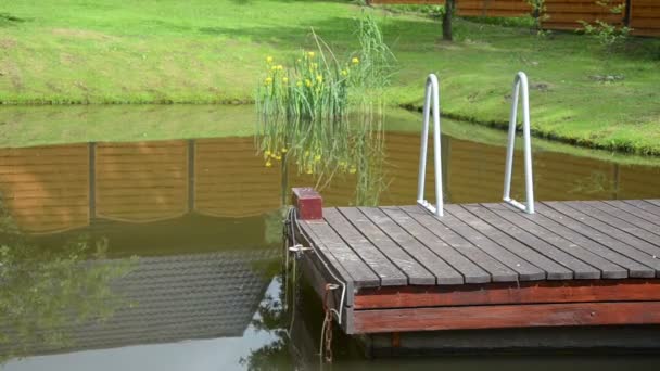 橋の池の水を反映します。 — ストック動画
