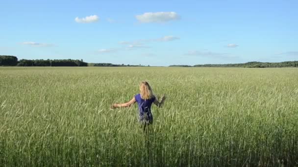 Mujer niña trigo campo — Vídeo de stock