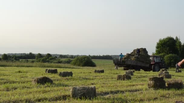 Žena nosit bale traktor — Stock video