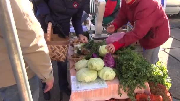 Marknaden kål köpa — Stockvideo