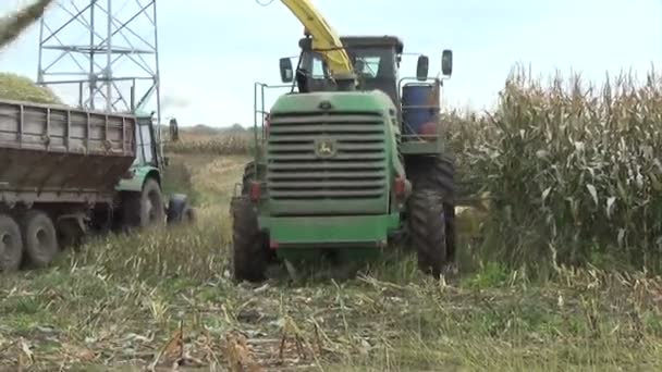 Кукурудзяні поля збирання — стокове відео