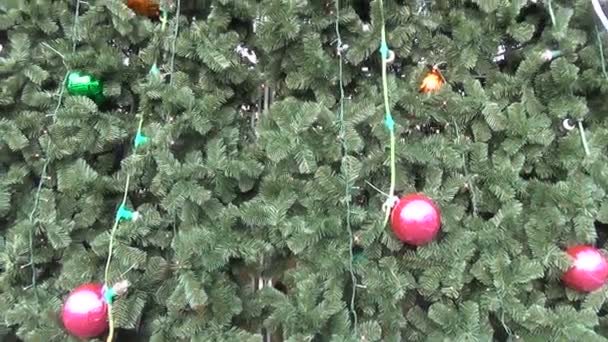 TreeTop ster decoratie — Stockvideo