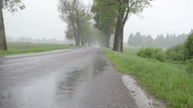 yağmur araba asfalt yol