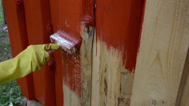 Pintura de mano pared — Vídeo de stock