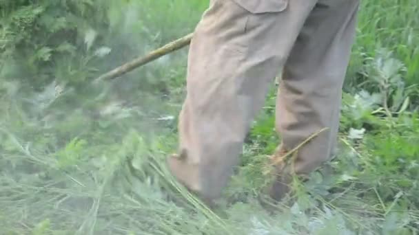 Man trimmer cut grass — Stock Video