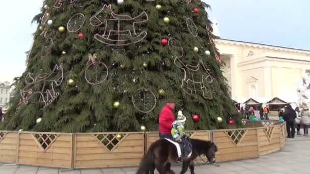 Kucyk jazdy dziecko Boże Narodzenie — Wideo stockowe