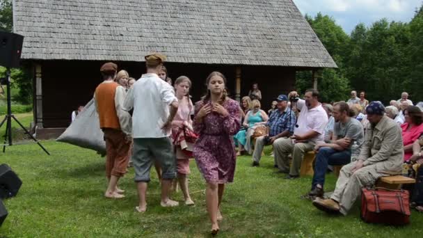 Miejski publiczności festiwalu — Wideo stockowe