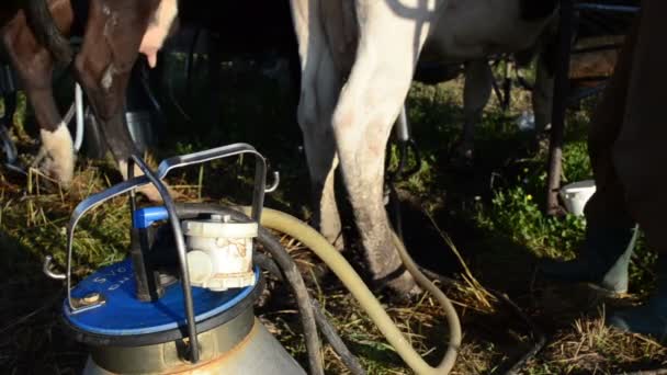 Máquina de ordeño bomba leche — Vídeo de stock