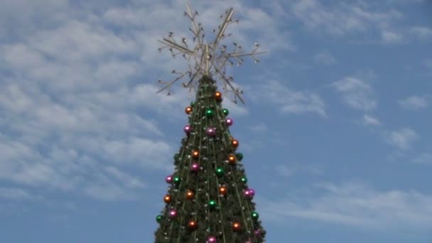 Hielo pista niño Navidad — Vídeo de stock