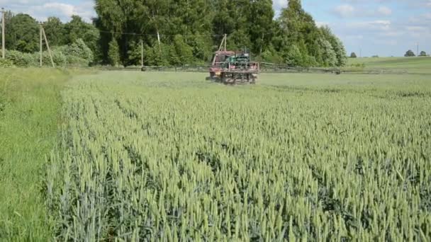 Campo de fertilización del tractor — Vídeos de Stock