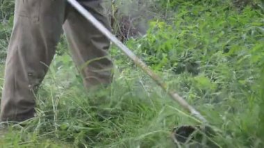 Panorama kesme Çim adam