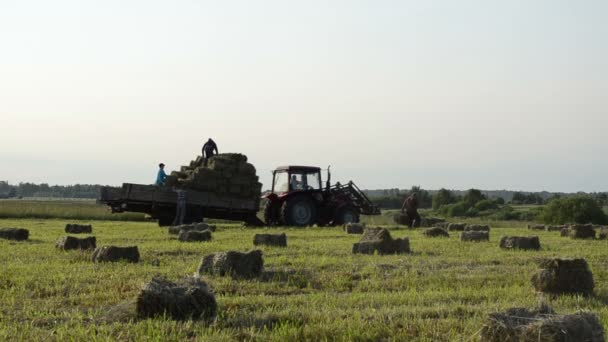 Traktor zatížení lidí seno — Stock video