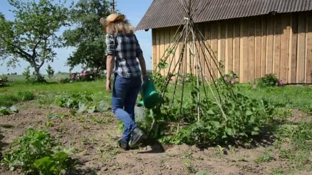 Farmář dívka vody fazole — Stock video