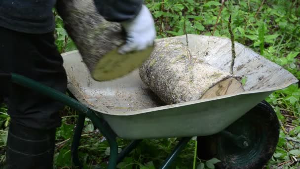 Hand firewood barrow — Stock Video