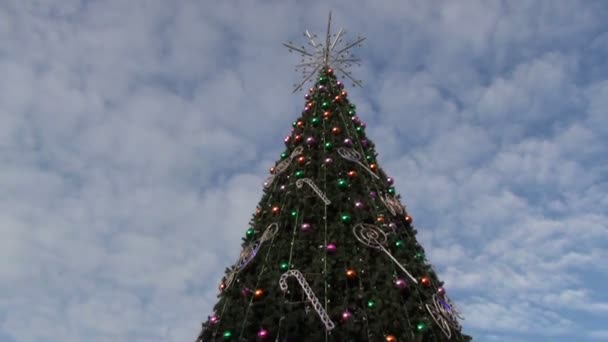 Χριστουγεννιάτικο δέντρο πόλη — Αρχείο Βίντεο