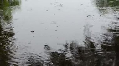 Havuz suyu çapraz insan