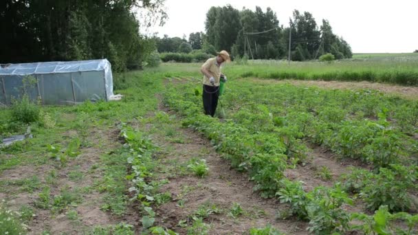 Gardener chemical spray — Stock Video